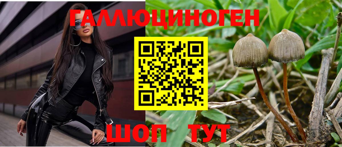 Орехово-Зуево  Галлюциногенные грибы ЛСД  Вход с VPN 